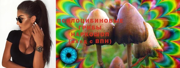 прущая мука Ладушкин