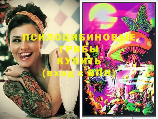 эйфоретик Абинск