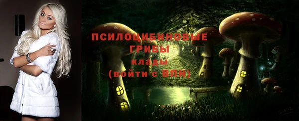 эйфоретик Абинск