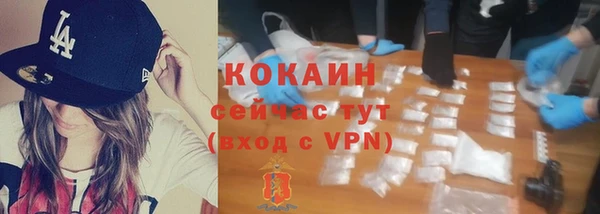 стаф Абаза